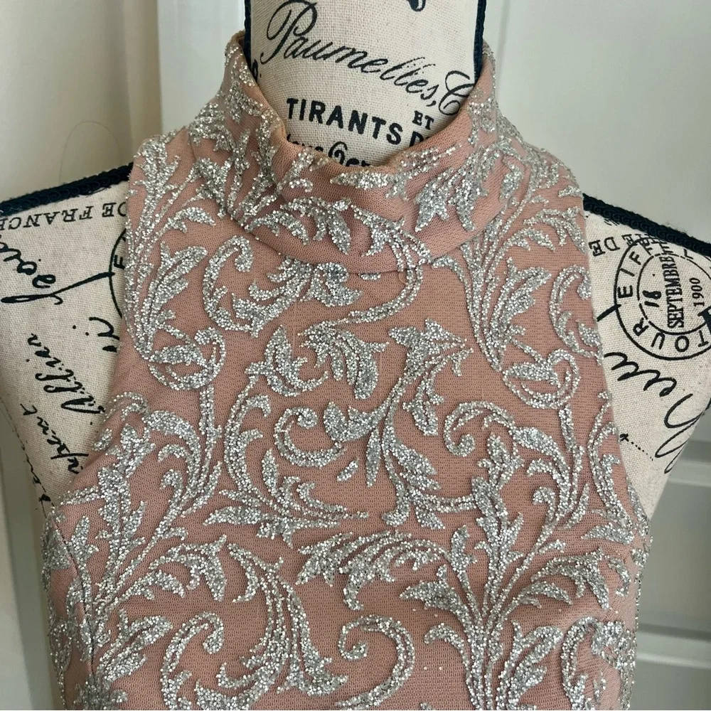 Portia & Scarlett Embellished High-Neck Halter Mermaid Gown Pink Silver Sz S - Picture 4 of 16